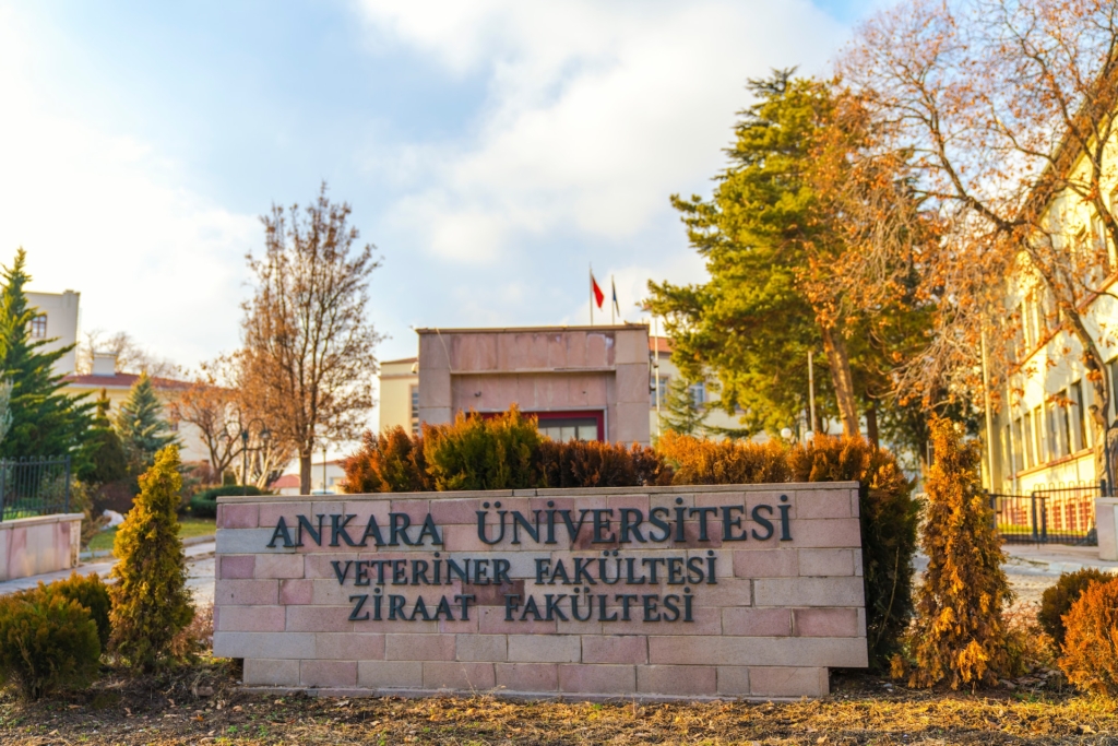 University of Ankara, a capital city of Turkey where is one of the best city for studying in Turkey